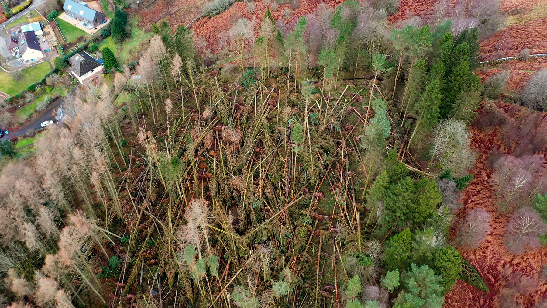 Locating and mapping areas of windblow damage that cannot be accessed from the ground.  
